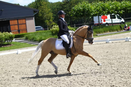 Afbeelding invoegen